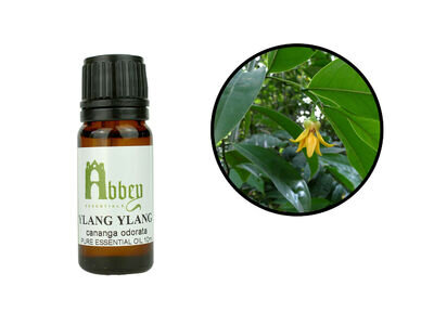 Essential Oil Ylang Ylang 100% Pure Natural Aromatherapy Oil