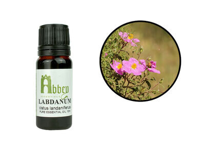 Essential Oil Labdanum 100% Pure Natural Aromatherapy Oil 10ml - 1liter UK |