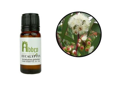 Essential Oil Eucalyptus 100% Pure Aromatherapy Oil 10ml - 1liter UK |