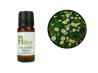 Essential Oil Chamomile Roman 100% Pure Aromatherapy Oil 10ml - 1 Litre UK