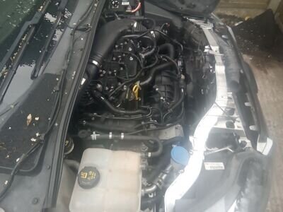 Ford focus 1.6 ecoboost 2014 complete engine and gearbox fully running